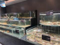 -浩运海鲜·16年专注青岛菜(石老人店)