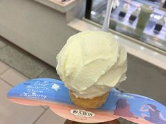-野人先生现做冰淇淋(西安赛格店)