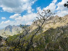-大连天门山国家森林公园