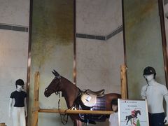 -上海崇明金茂凯悦酒店