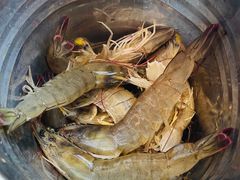 -半岛听涛蒸汽海鲜自助(K11店)