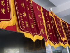 -顺强宠物诊所·狂犬免疫·夜诊·骨科(嘉定店)