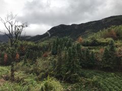 -塔川景区