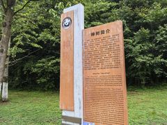 -卧龙中华大熊猫苑神树坪基地