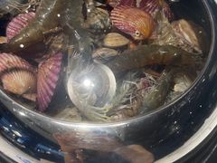 -大锅强·蒸海鲜青岛菜(金沙滩店)