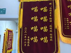 -中农国际动物医院24小时·猫科·骨科·急重症中心
