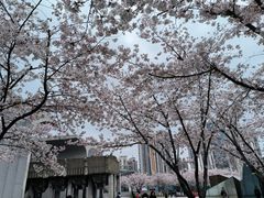 -龙美术馆(西岸馆)