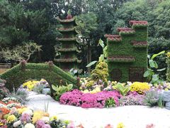 -汇龙潭