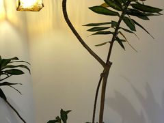 -角落低卡烘焙(正弘城店)
