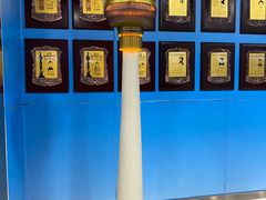 -中央广播电视塔