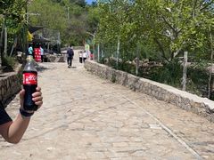 -大岭沟猕猴桃谷风景区