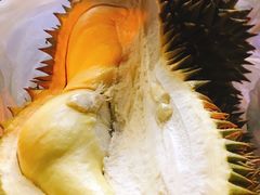 -晓寿司·精致料理(绿地店)