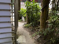 -西岭雪山大飞水景区