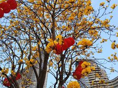 -洲头咀公园