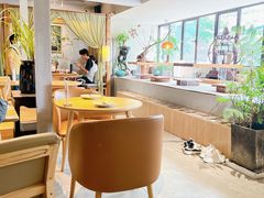 -本处·素食·融合料理(南油店)