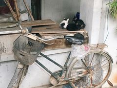 -二楼南书房