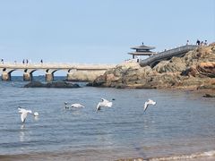 -兴城海滨风景区