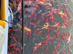 -陶祖圣境风景区