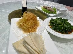 -丁老爷子苏香圆