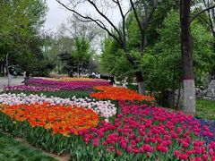 -石家庄市植物园
