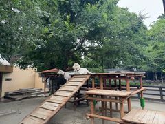 -井之头恩赐公园