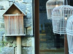 -MOJ coffee(瓯海泽雅水碓坑店)