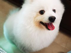 -北京观赏动物医院·24小时大型综合·猫专科·异宠专科