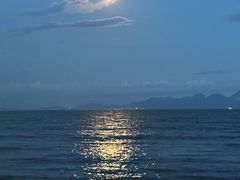 -芒洲湿地公园