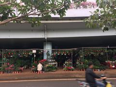 -椰语堂·海南清补凉(友谊阳光城店)