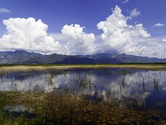 -野鸭湖国家湿地公园