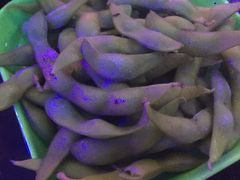 -好久不见网红乐队酒吧(鼓浪屿海底世界店)