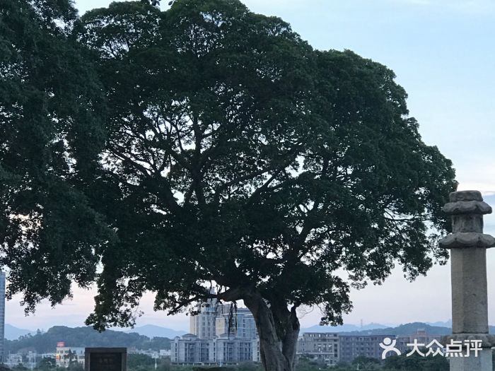 洛阳桥图片