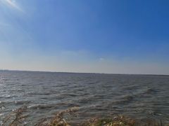 -呼兰河口湿地公园