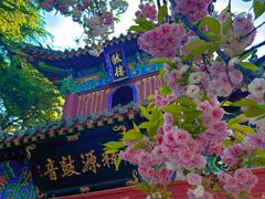 -洛阳白马寺