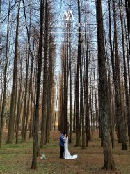 点击看大图 -MANLI BRIDAL婚纱
