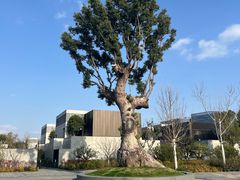 -养云安缦吧THE BAR