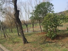 -蜀冈西峰生态公园