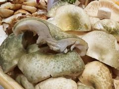 -一朵菌·野生菌探索家火锅(南亚店)