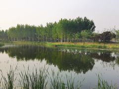 -东郊湿地公园