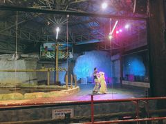 -清迈夜间动物园