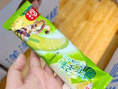 -洋洋爸雪糕(万科店)