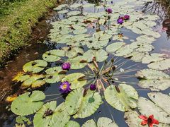 -廊坊文化艺术中心