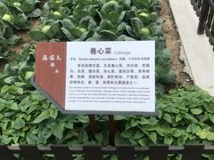 -张闻天故居