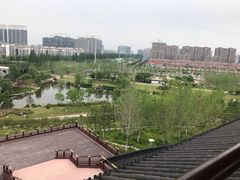 -桃花岛公园