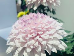 -汇龙潭