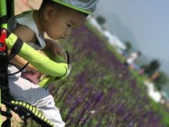 -君乐宝优致牧场