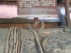 -海南槟榔谷黎苗文化旅游区