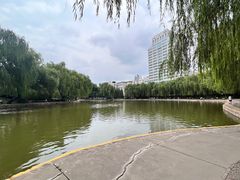 -团结湖公园