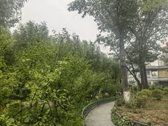 -文瀛公园