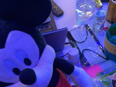 -浣熊部落ps4 ps5 switch 电玩(茶店子店)